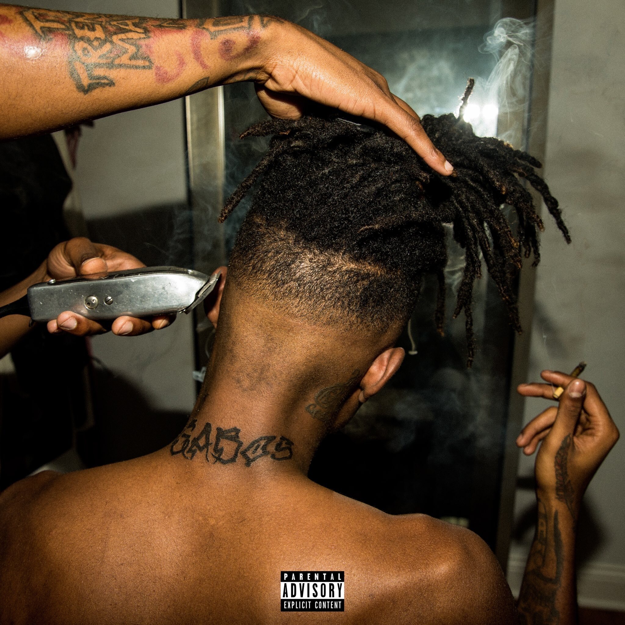 Gabos - Young Jasper