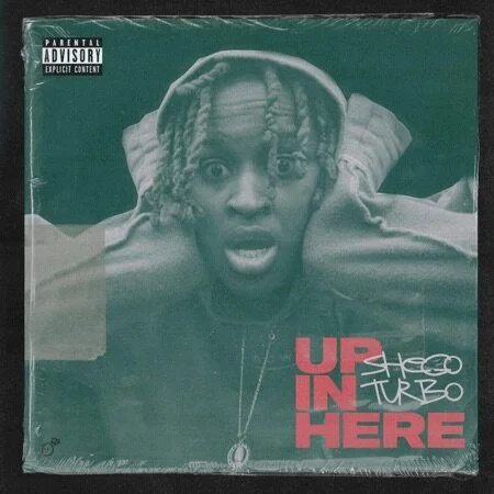 SheGo Turbo - Up in Here (Single)