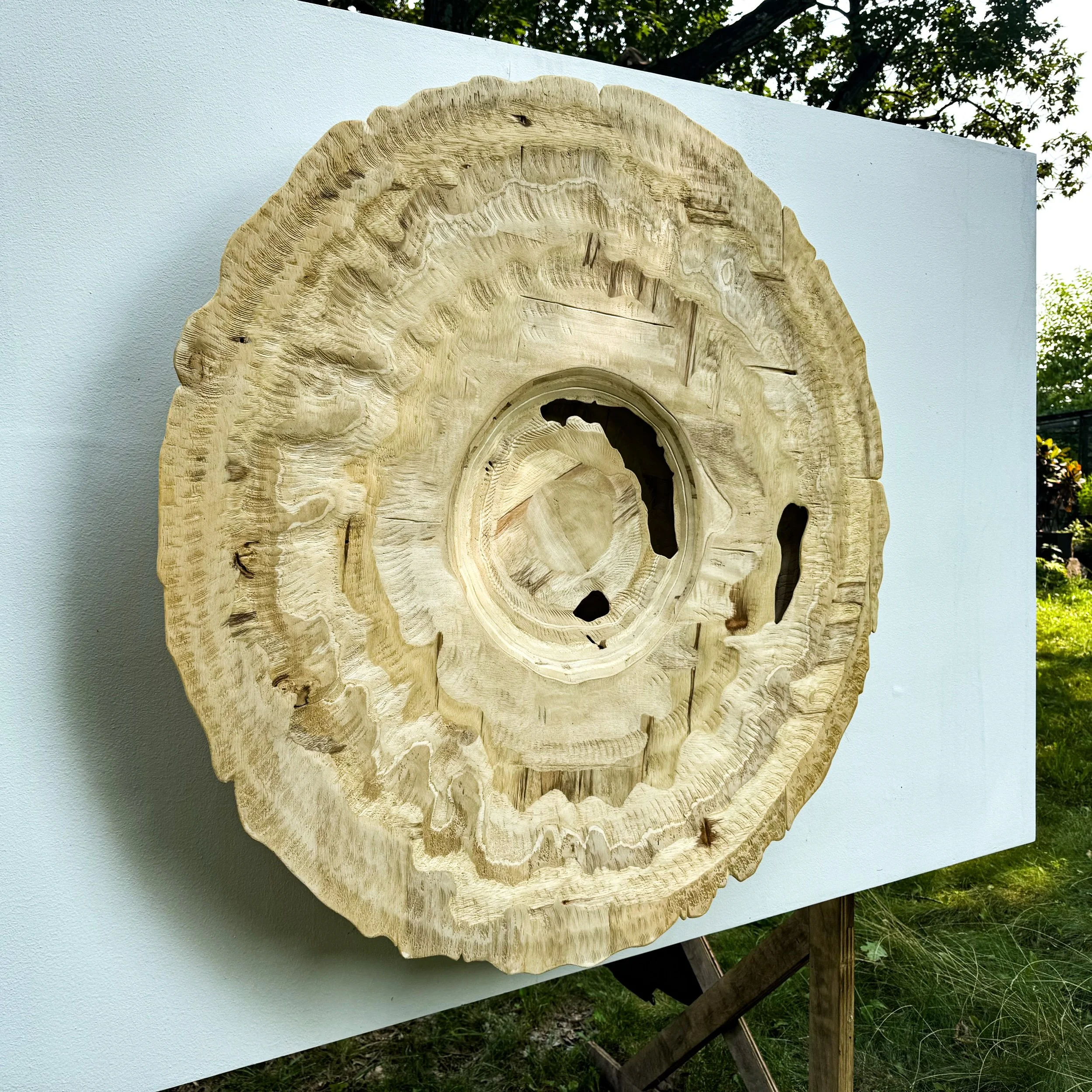 Double Walled Wide Rimmed Plate