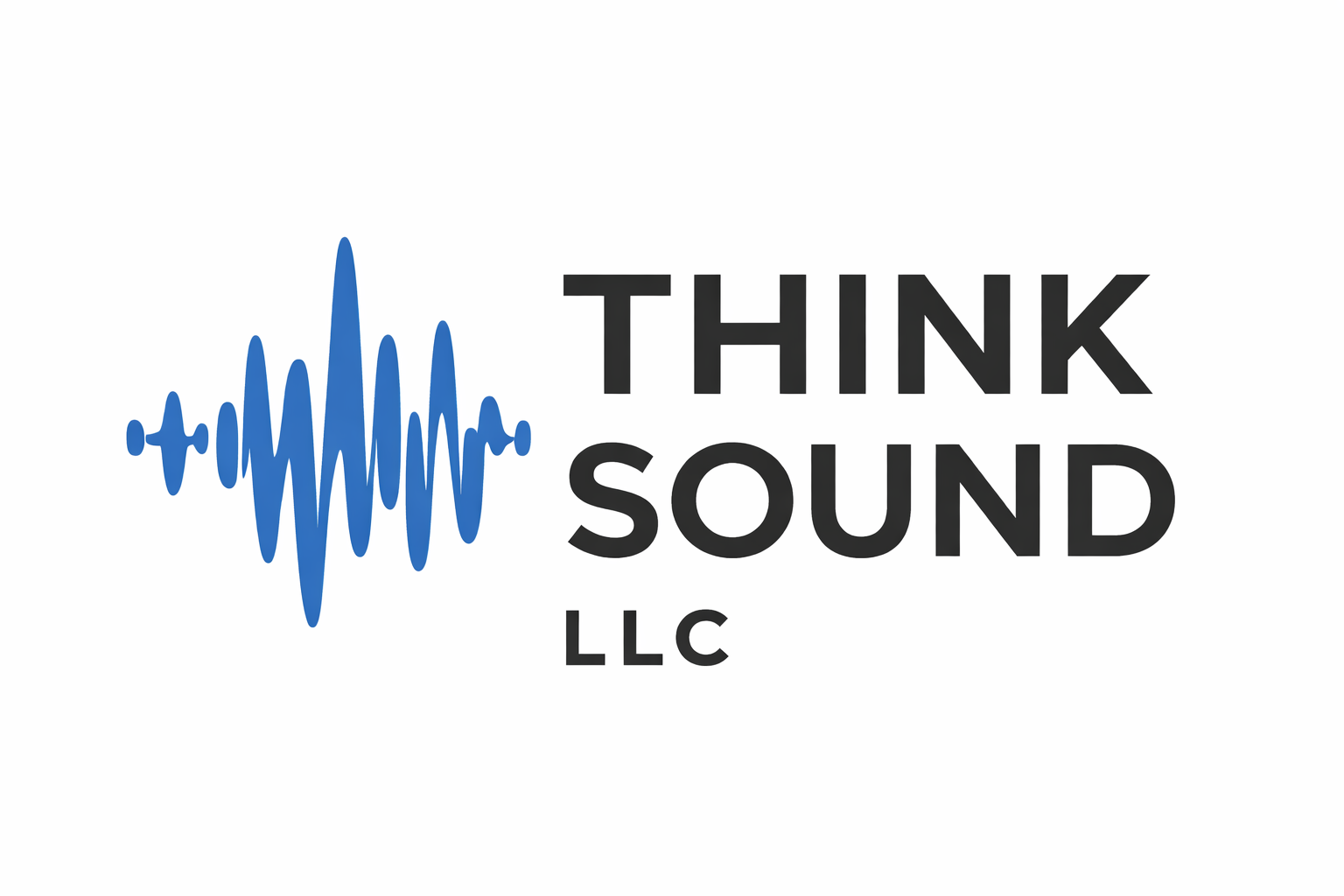 Logo with a blue sound wave graphic and the words 'Think Sound LLC' in black text.