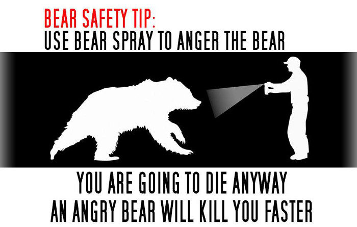 Photo courtesy of www.bearmageddonnews.com