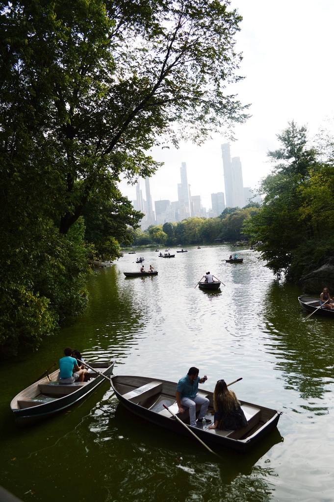 The City as seen from Central Park. Kolleen Gladden / Virginia Law Weekly .