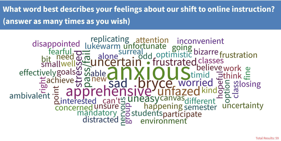 Pictured: Employment Law students react to online classes. Photo Courtesy of Prof. Rip Verkerke.