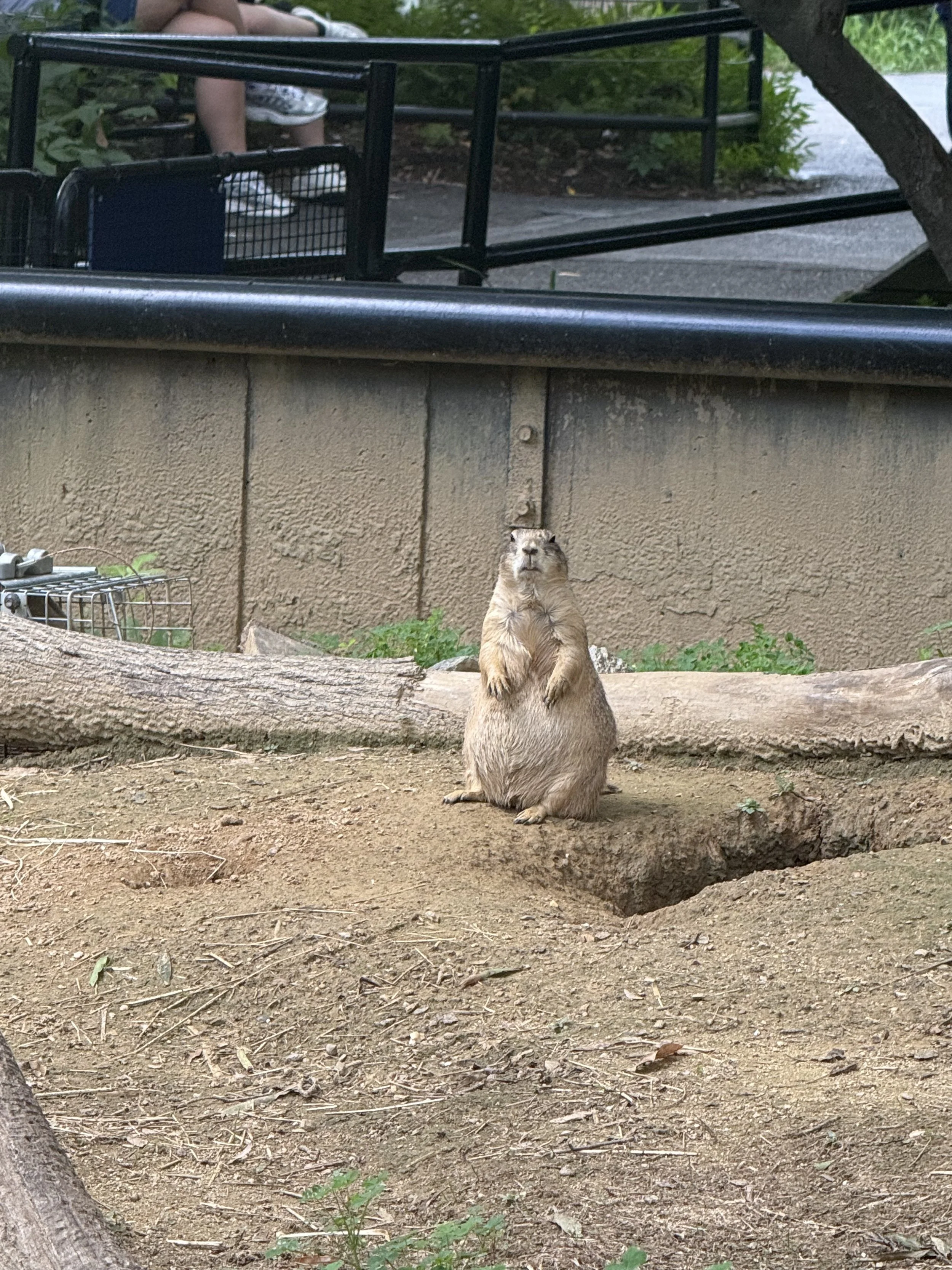 IMG_0507.jpeg