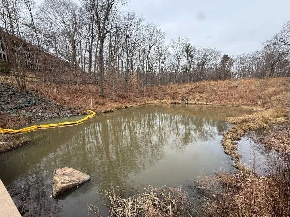 Of Koi and Consequences