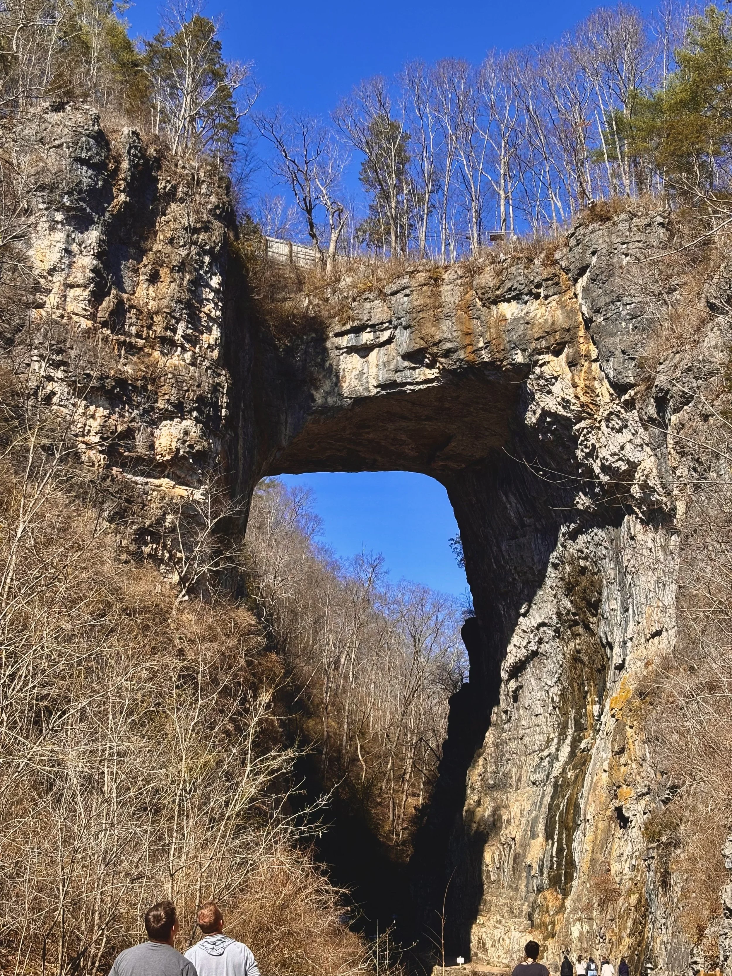 Top Three Torts I Witnessed on Natural Bridge and Devil’s Marbleyard