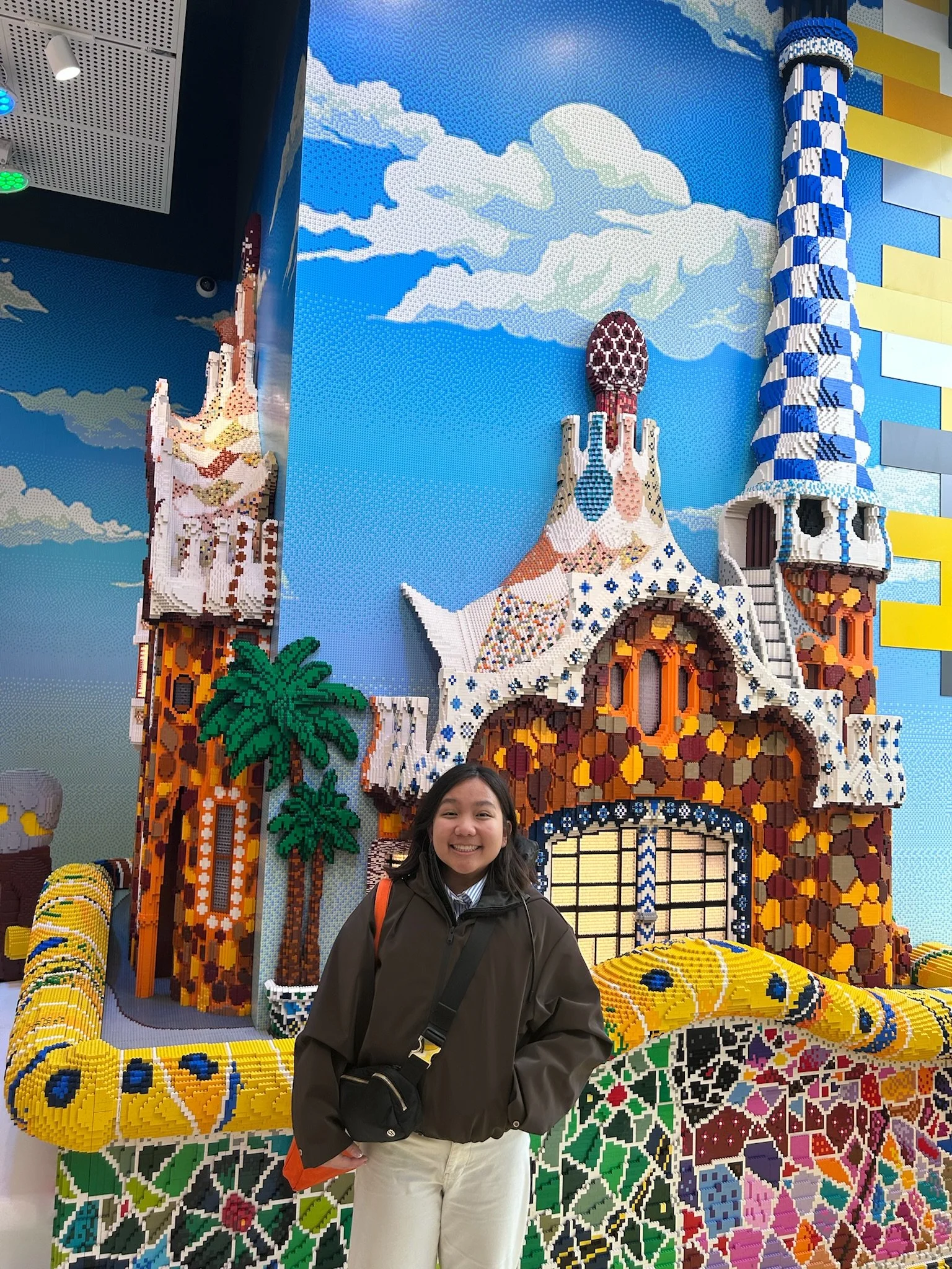 What the Duolingo Owl Doesn’t Teach You