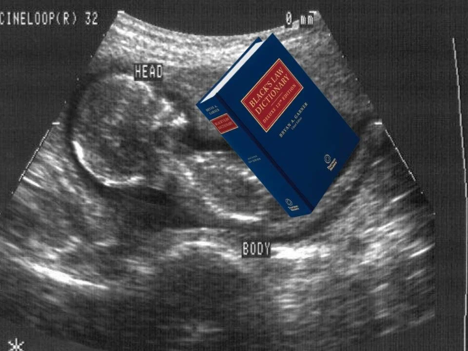 ​California Firms Go “Pro-Life” to Lock in Pre-Born 2L Talent&nbsp;