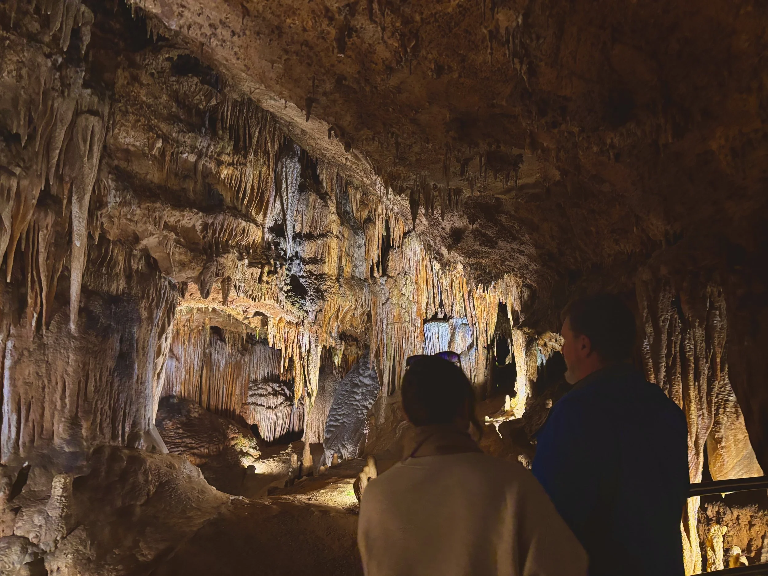 5 Ways to Get Out of Charlottesville This Fall&nbsp;