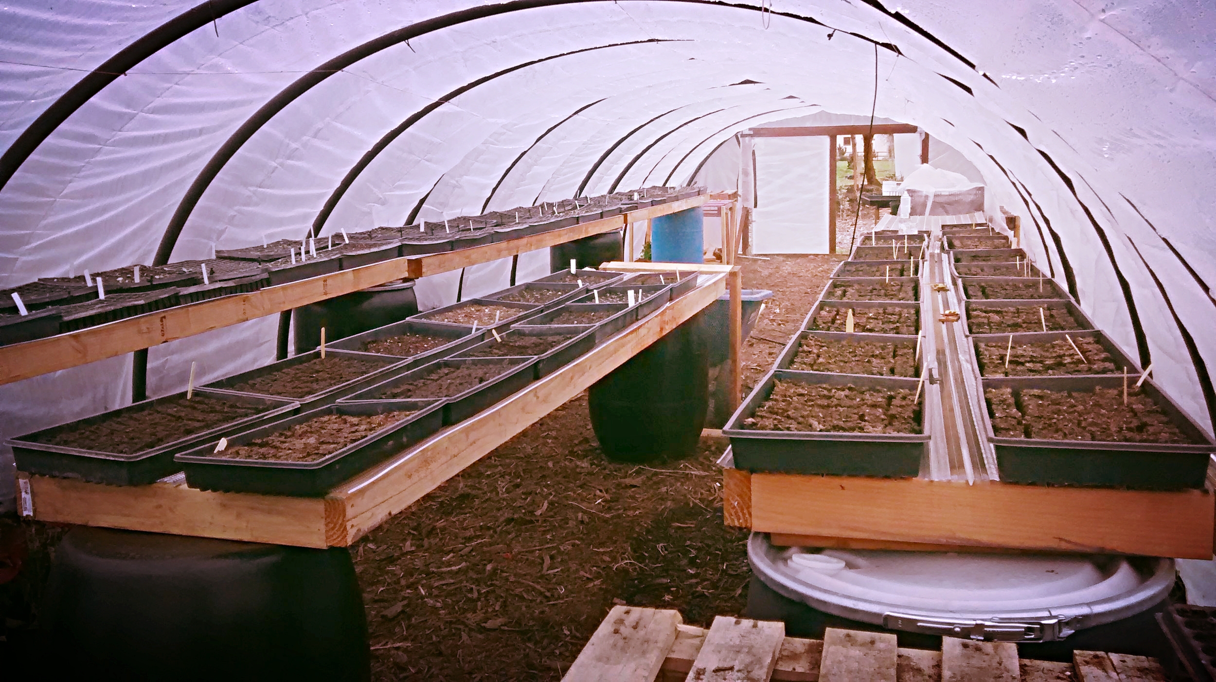 Diy Build Solar Seed Benches Greenhouse Heat Sink Thie Creek Farm