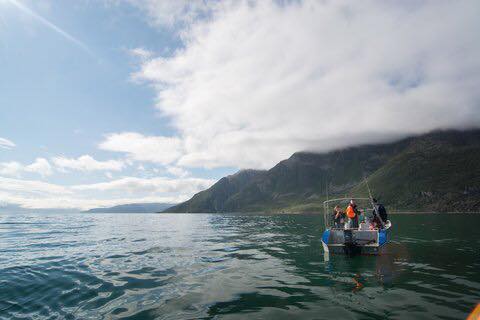 korsfjorden båtbilde 1.jpg