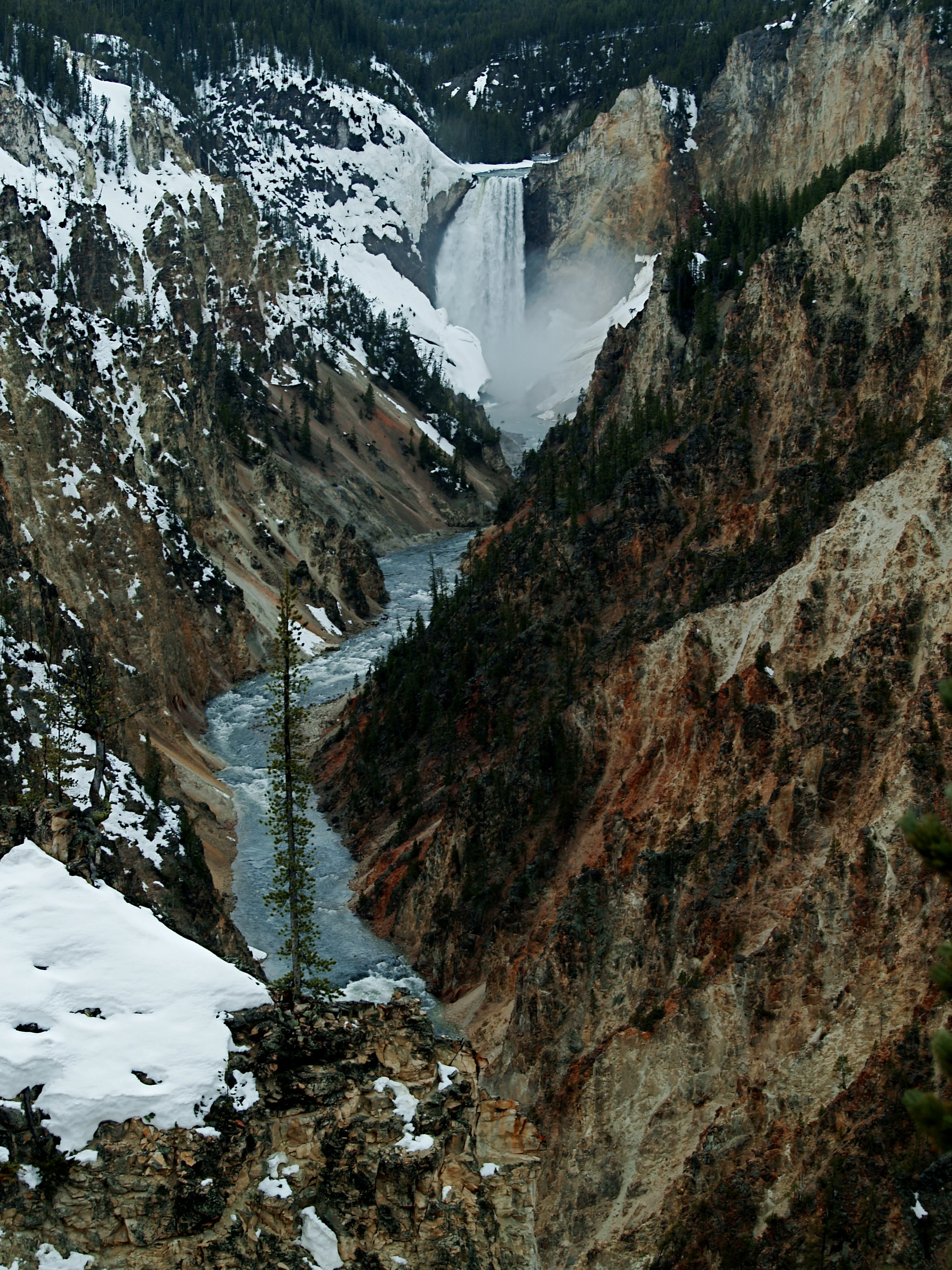 Grand Canyon of Yellowstone