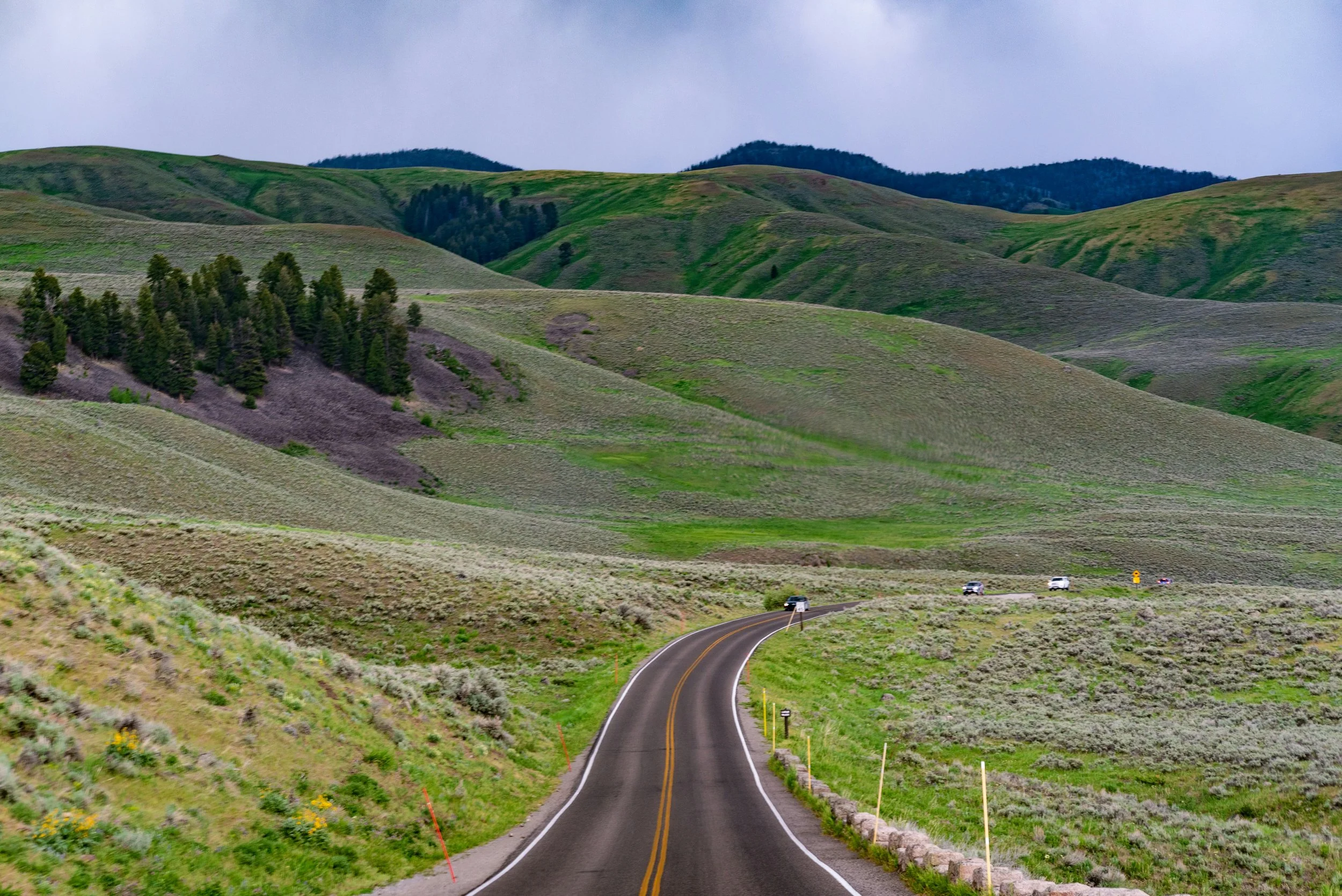 Private vs. Group Yellowstone Tours: Which Is Right for You?