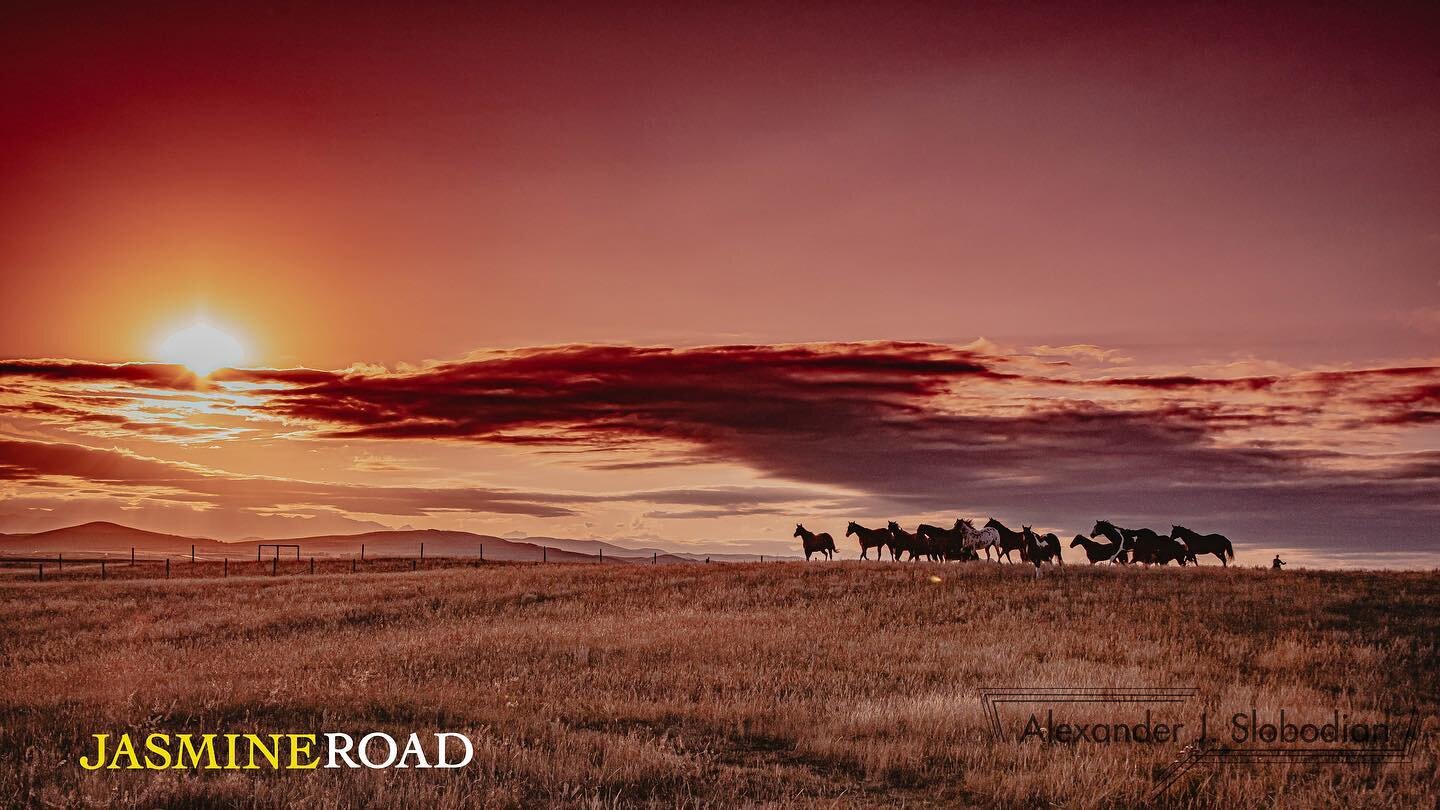 SPOTLIGHT ON: JASMINE ROAD Jasmine Road may be a small film, with few cast and locations, but its story is anything but little. Located in rural Alberta, Jasmine Road is a movie about a Syrian refugee family and their arrival on Canadian soil. According to a release, the film follows "a recently widowed western rancher who takes in a Syrian refugee family in the small conservative town of Red River.” It’s expected to be released in Canada in summer 2020.