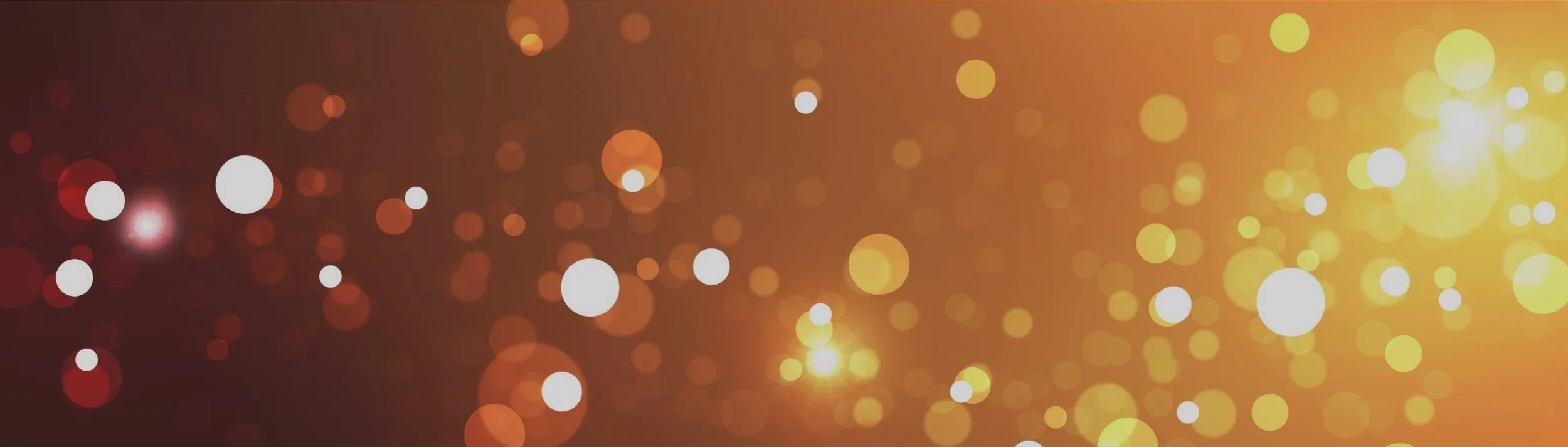 BANNER.jpg