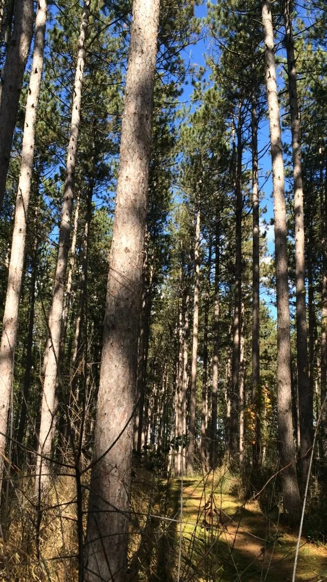 Body of Relating: A Wednesday Morning Series  