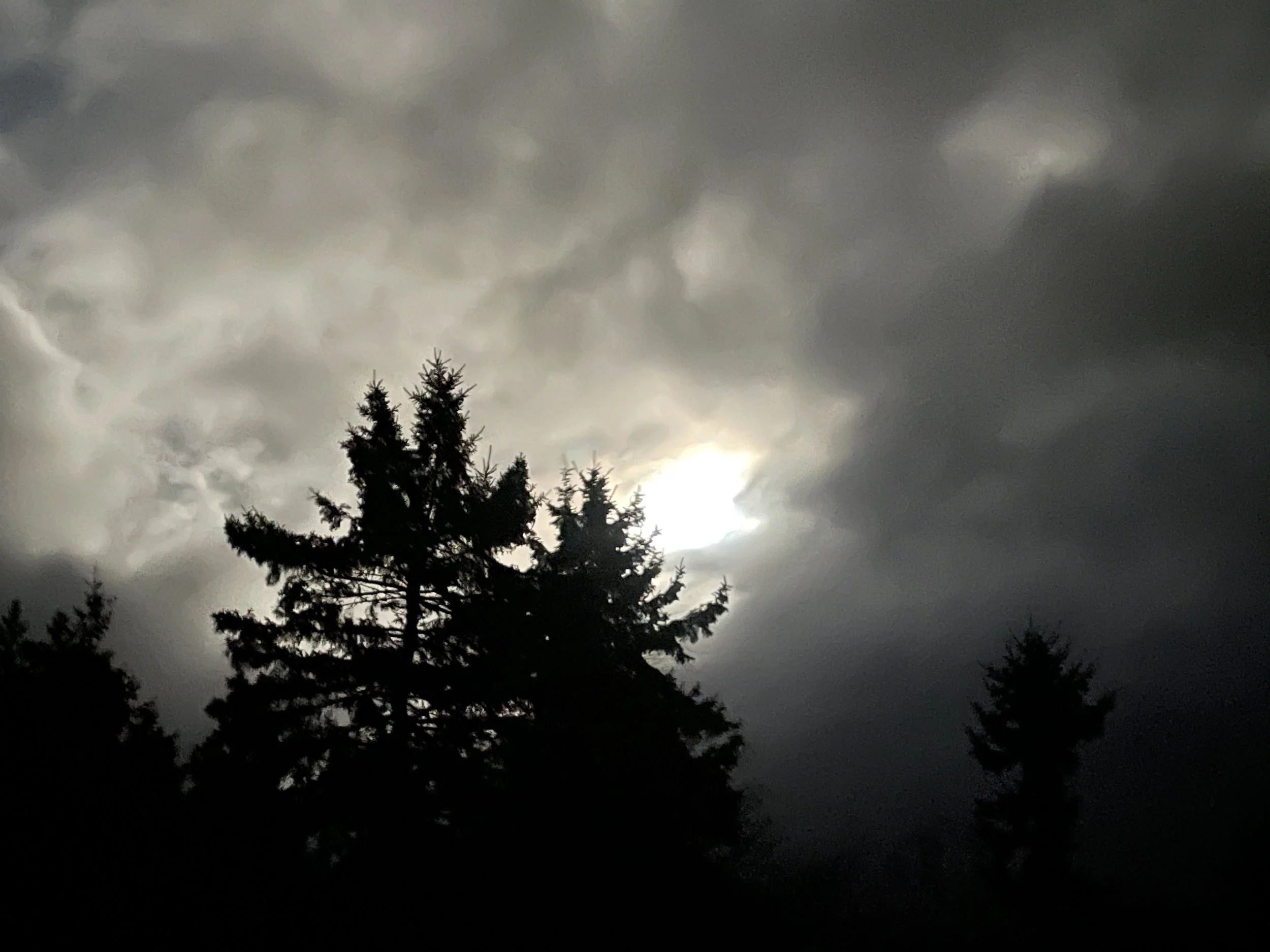 Winter Solstice // Death and Rebirth Practice 
