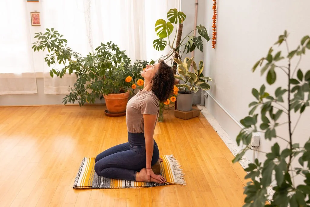 Fall into Winter Yoga Series 