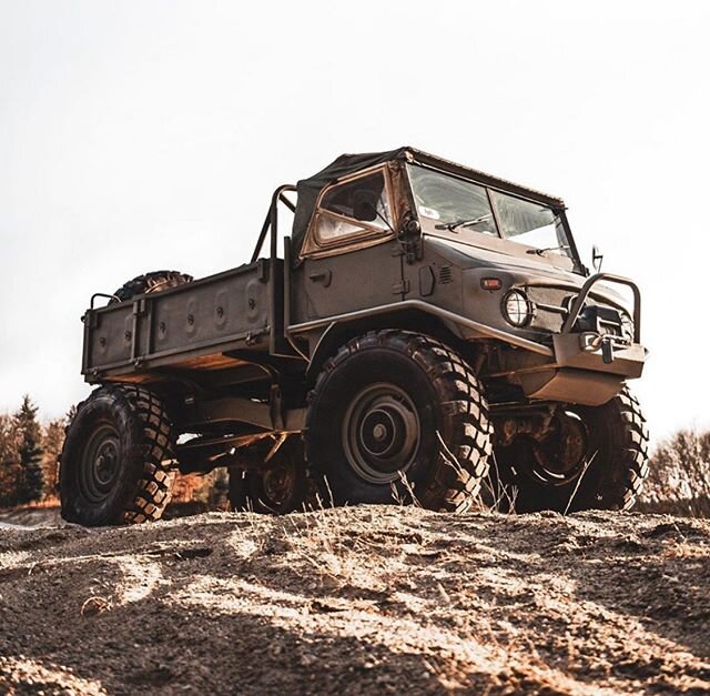 My personal fave Mog. 
#overlandkitted 
@button_built