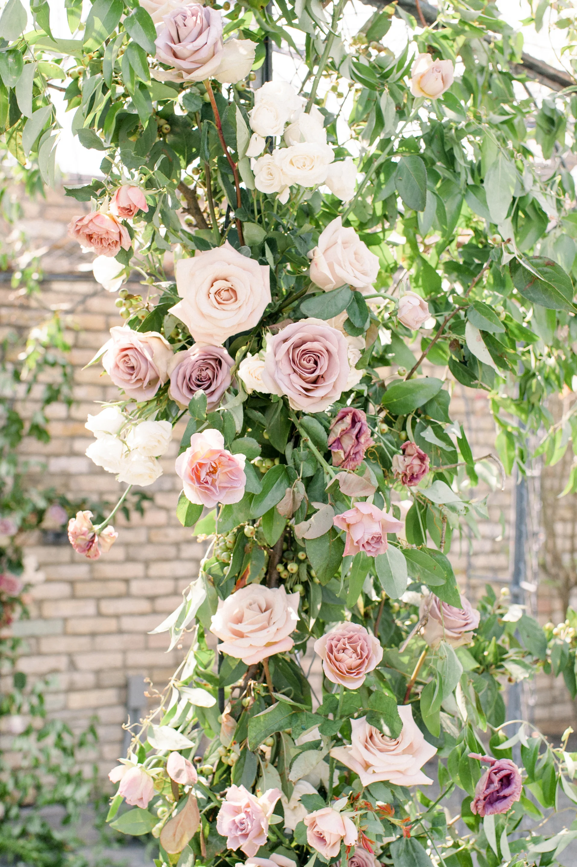 Maria Mack Photography_0027.jpg