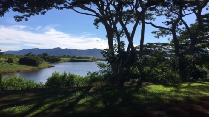 Green grass with tropical mountains