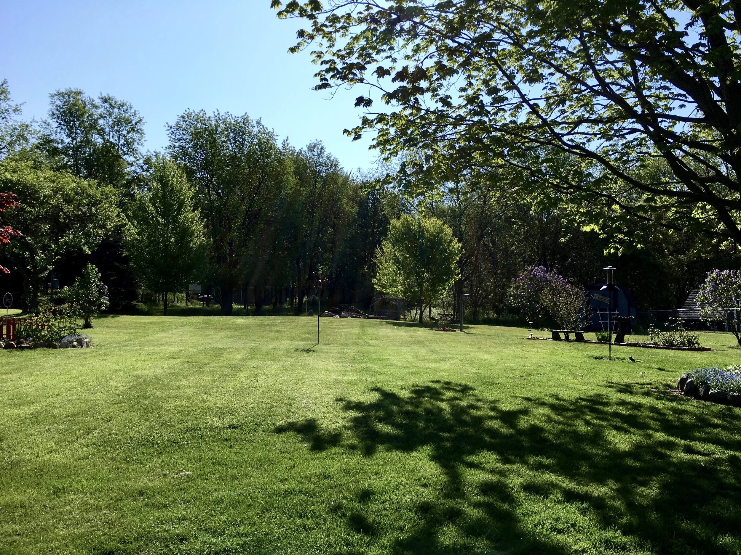 Michigan Backyard.