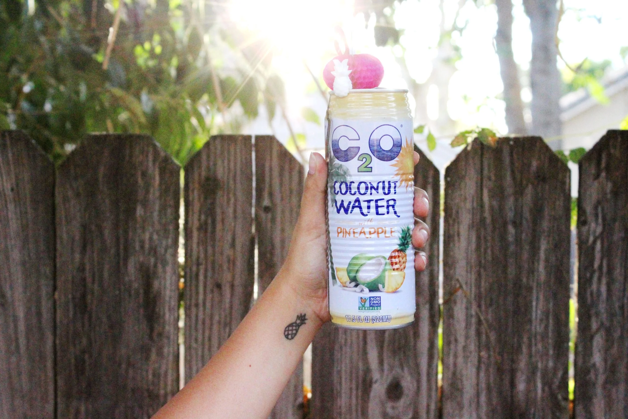 We're Going Coconuts! 