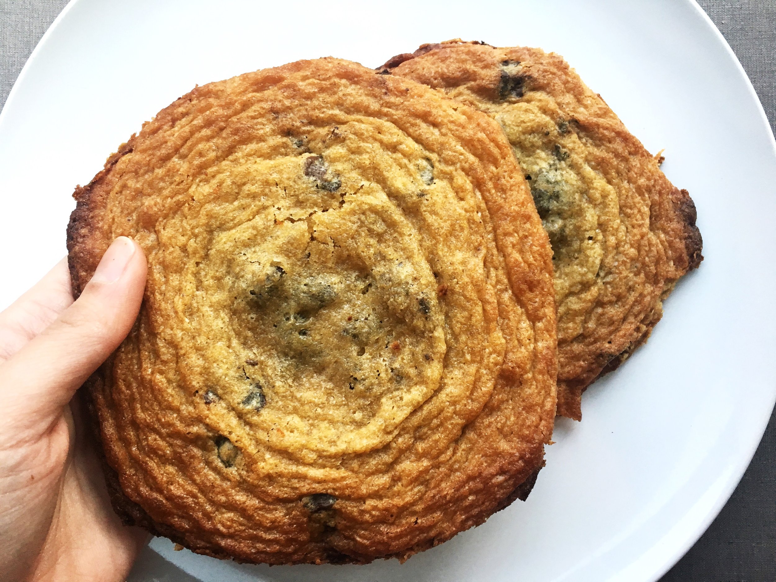 semi-sweet chocolate chunk cookie