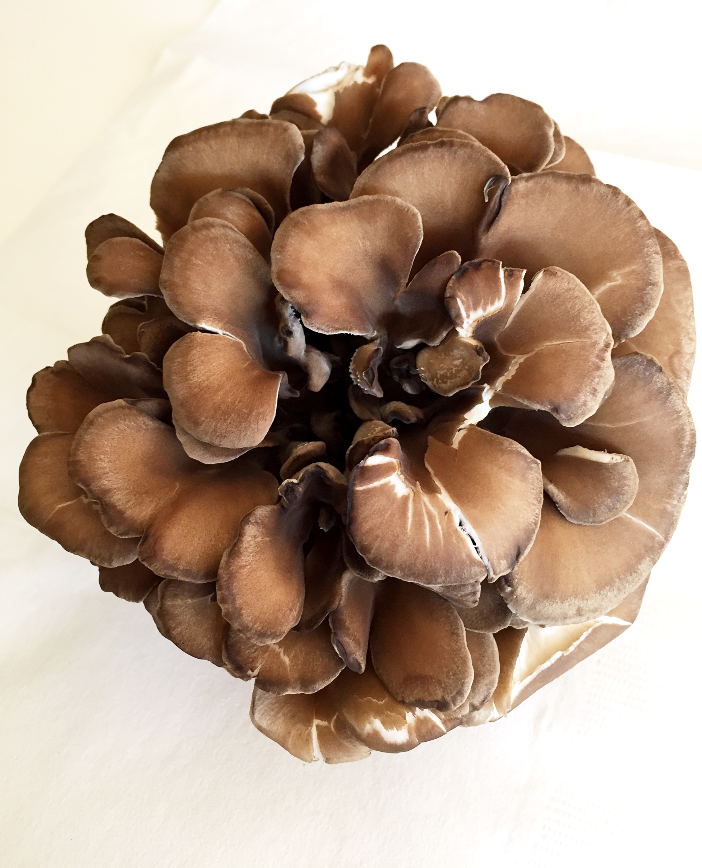Maitake mushroom! I used a little over half. 