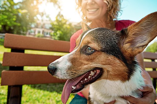  Shot of a young woman bonding with her dog in the park 