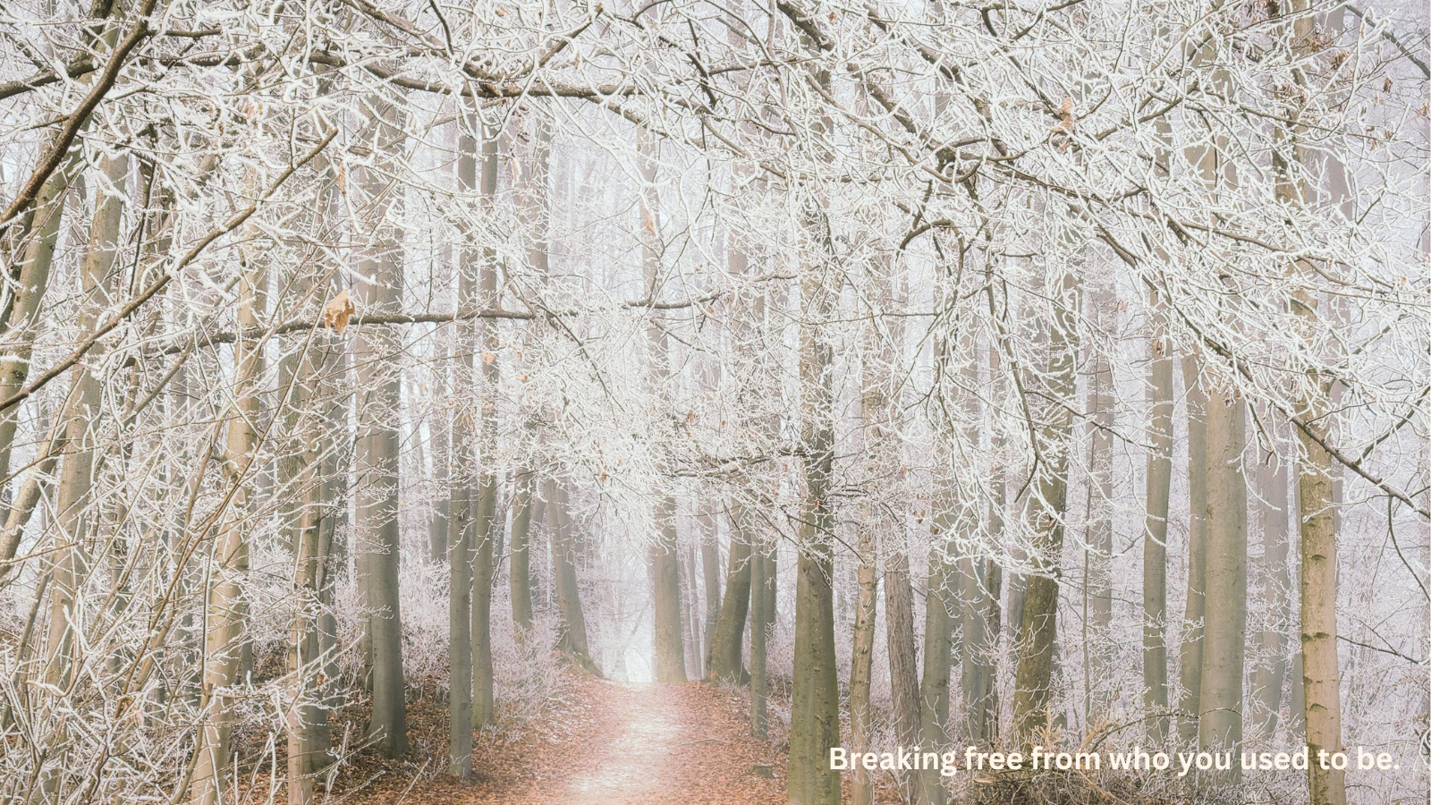 Breaking Free From Who You Used to Be