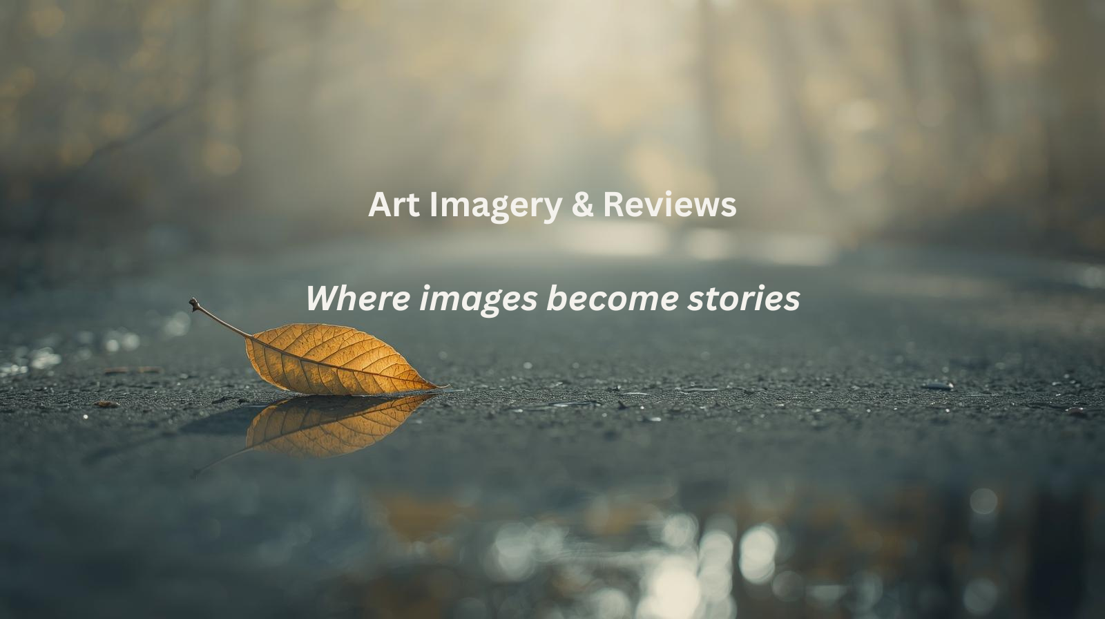 Art Imagery & Reviews (1).png