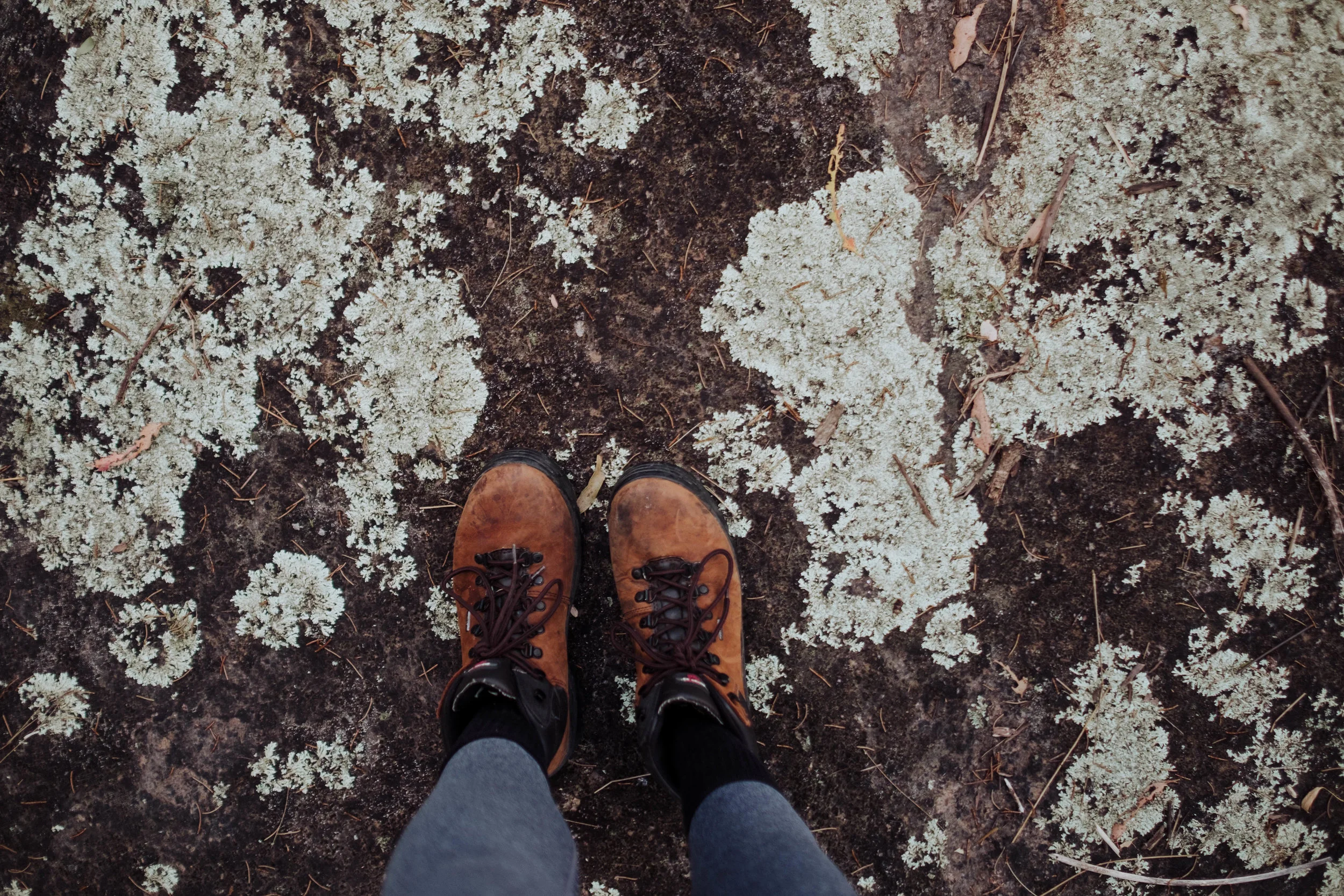 Wearing in my new hiking boots