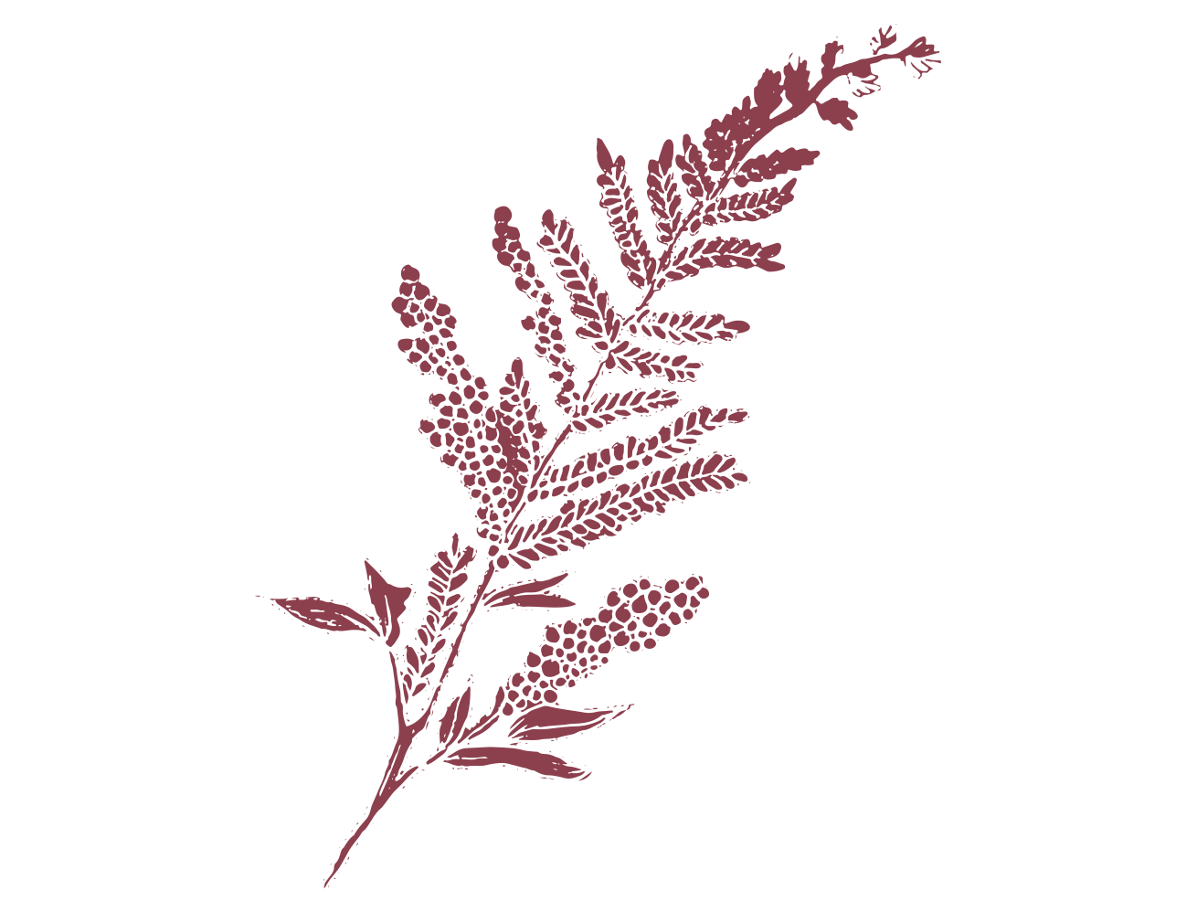 Film-and-foliage-fern-burgandy.png