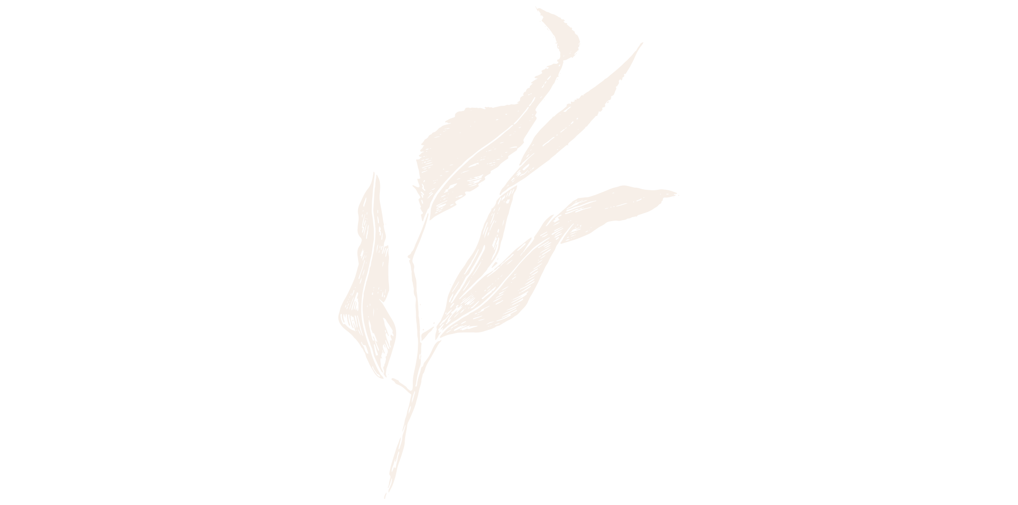 Film-and-foliage-gumleaf-cream.png