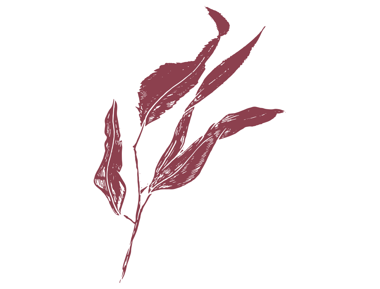Film-and-foliage-gumleaf-burgandy.png