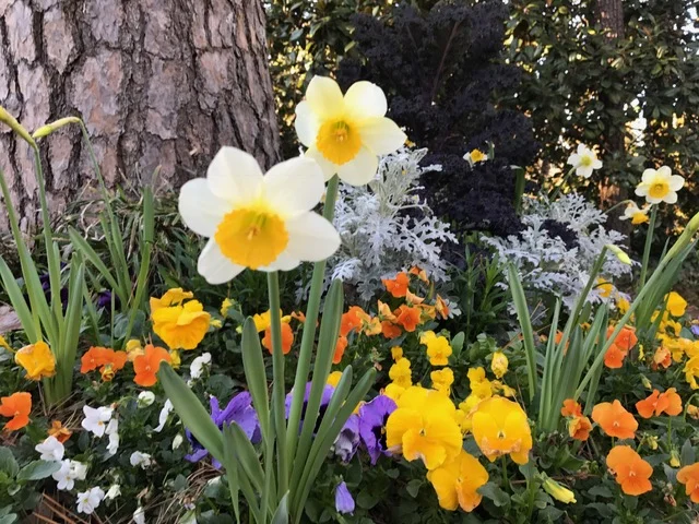 Early Spring combo.JPG