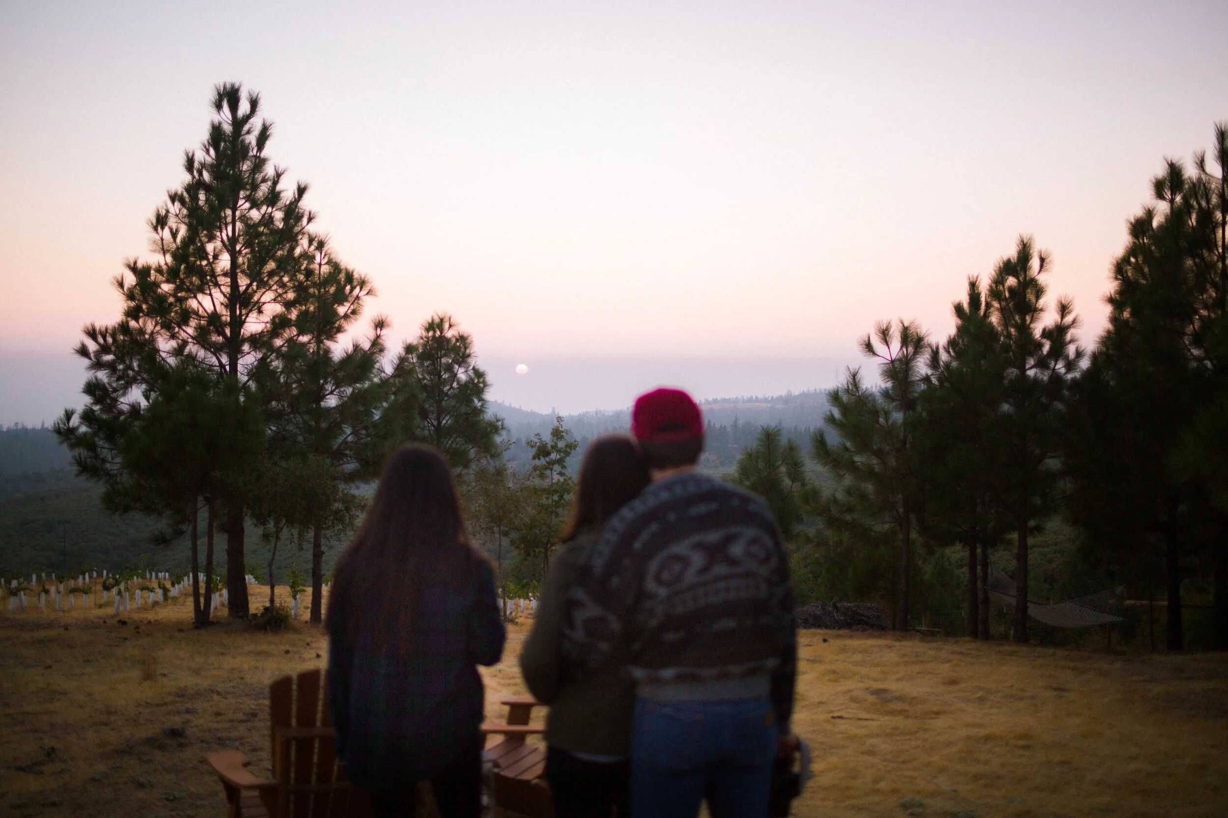 Sterling Montes Portfolio-10.jpg