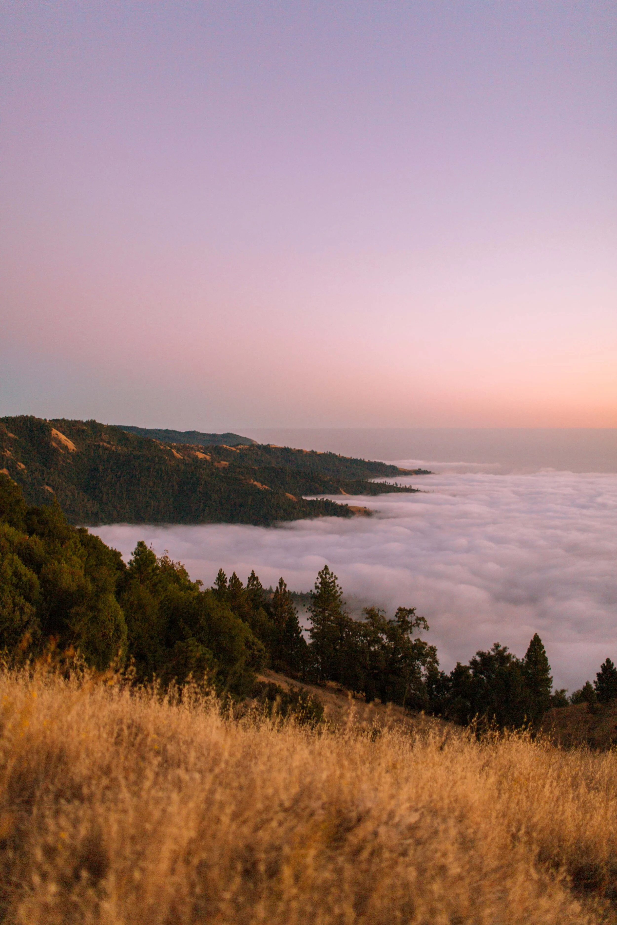 Sterling Montes Portfolio-23.jpg