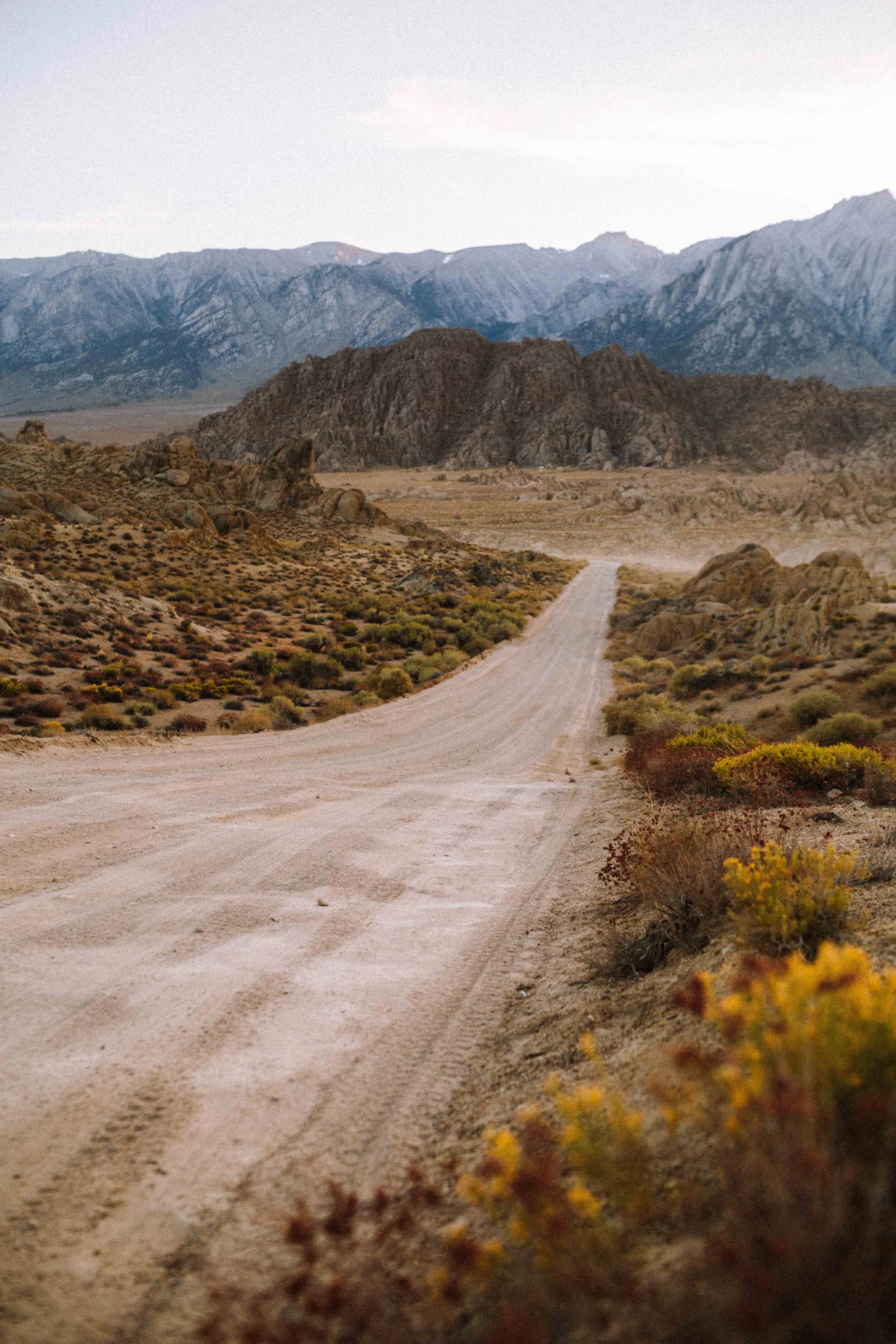 Sterling Montes Portfolio-47.jpg