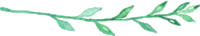 branch-with-leaves-TimMoore.png