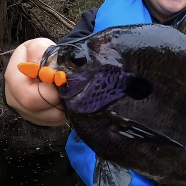 Swamp Spider - Panfish Lures for Redbreast, Bluegill & Bass - GA Boy Lures - Altamaha River Trading Company
