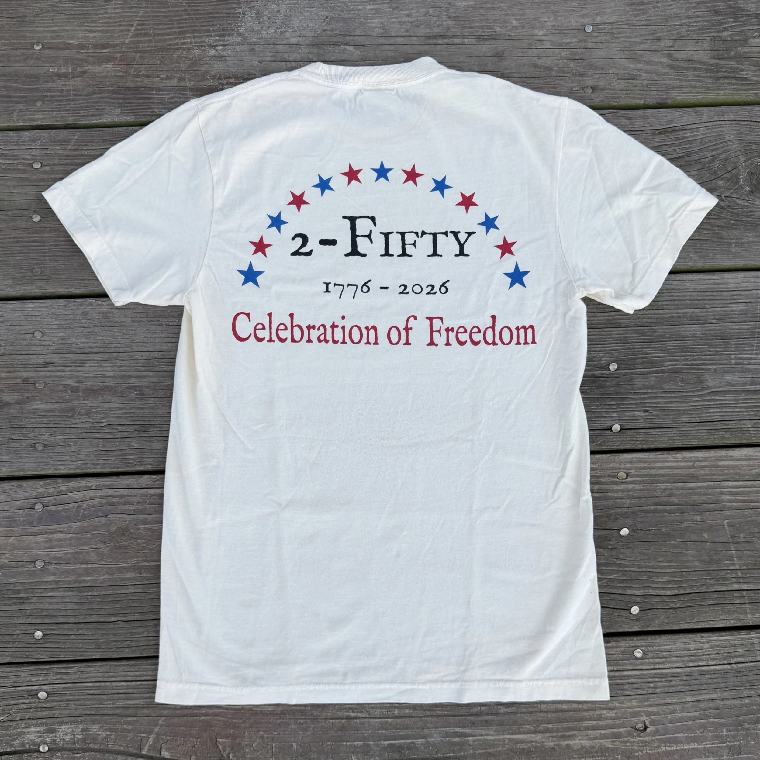 America 250 2-Fifty Celebration of Freedom T-Shirt - back view.jpg