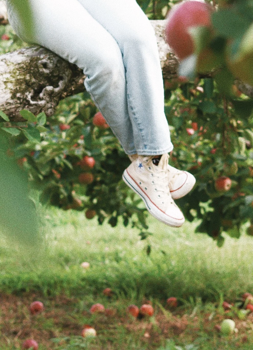 vsco5ba542dcbe123.jpg