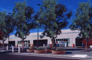 CPTED-Planters-and-Bollards-300x197.jpg