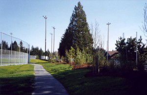 Bothell-image2-300x195.jpg