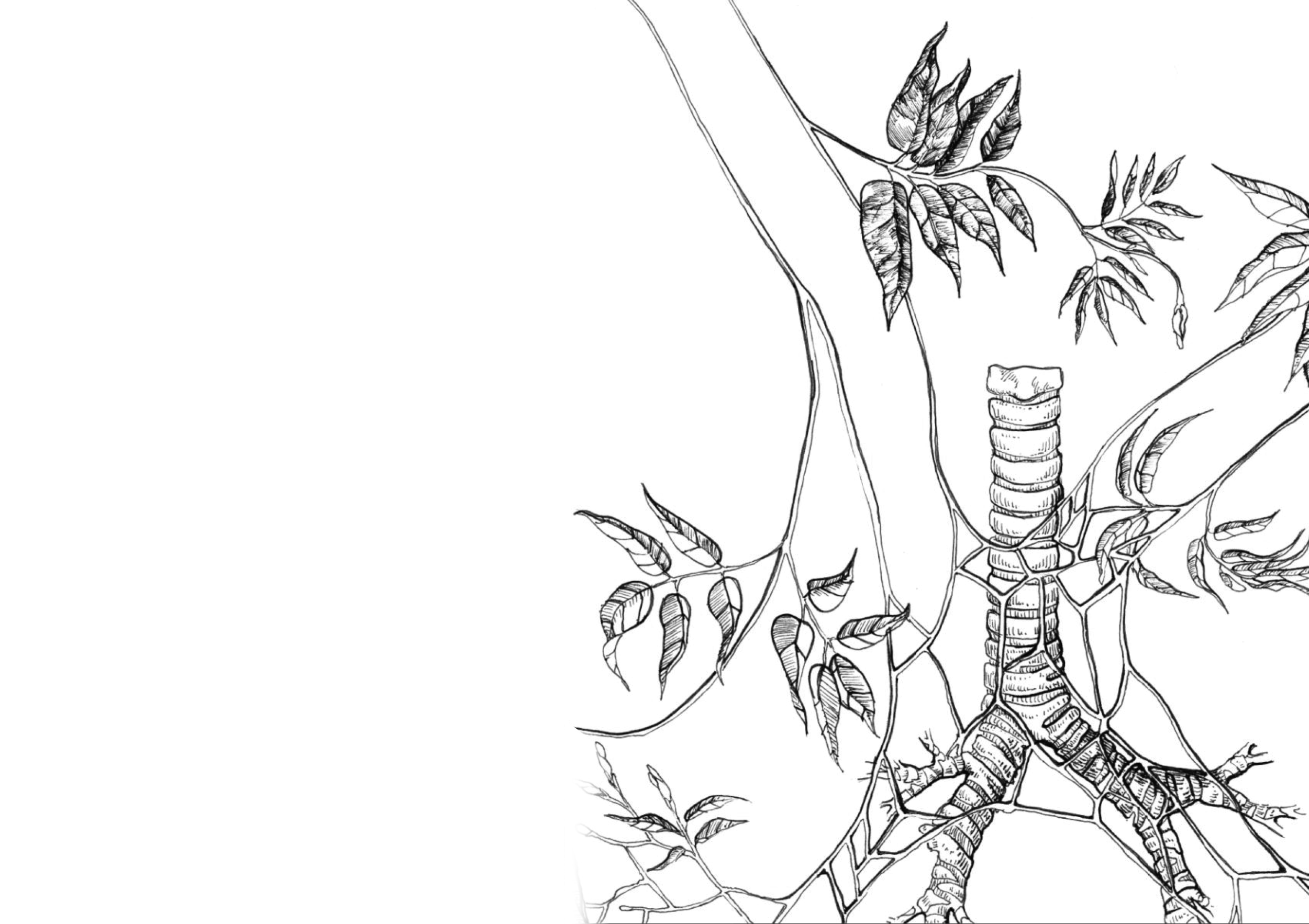 website coverpage- copy.gif