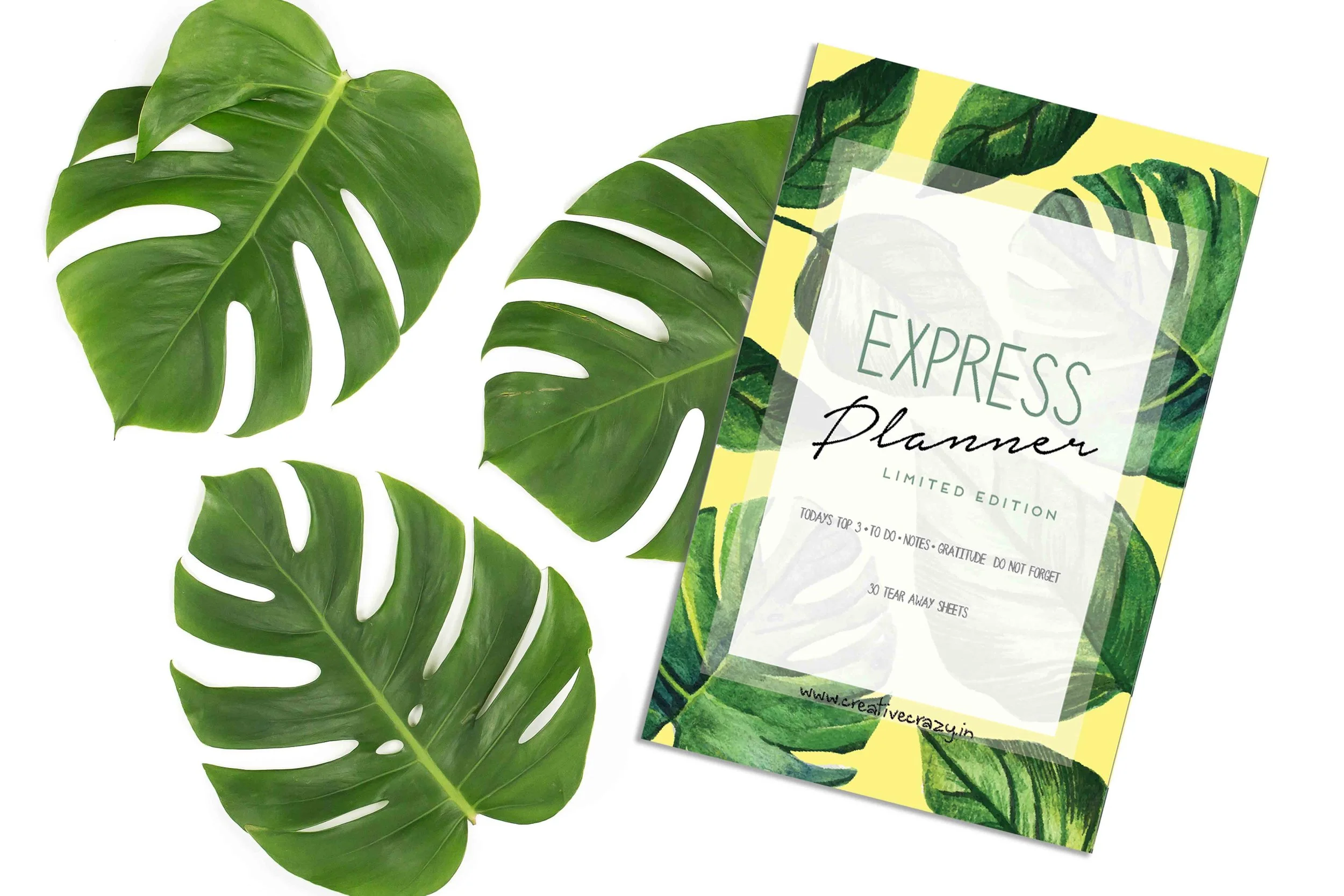 EXPRESS COVER TRY.jpg