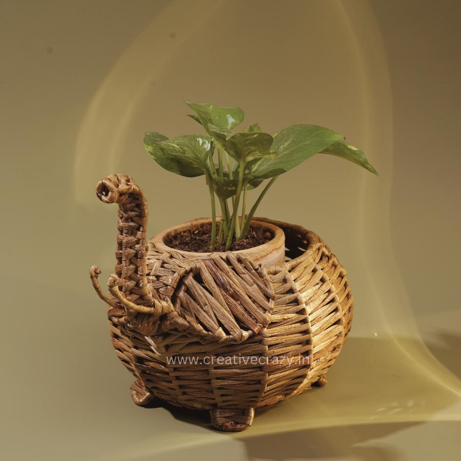 insta posts.zip - 30.PNG