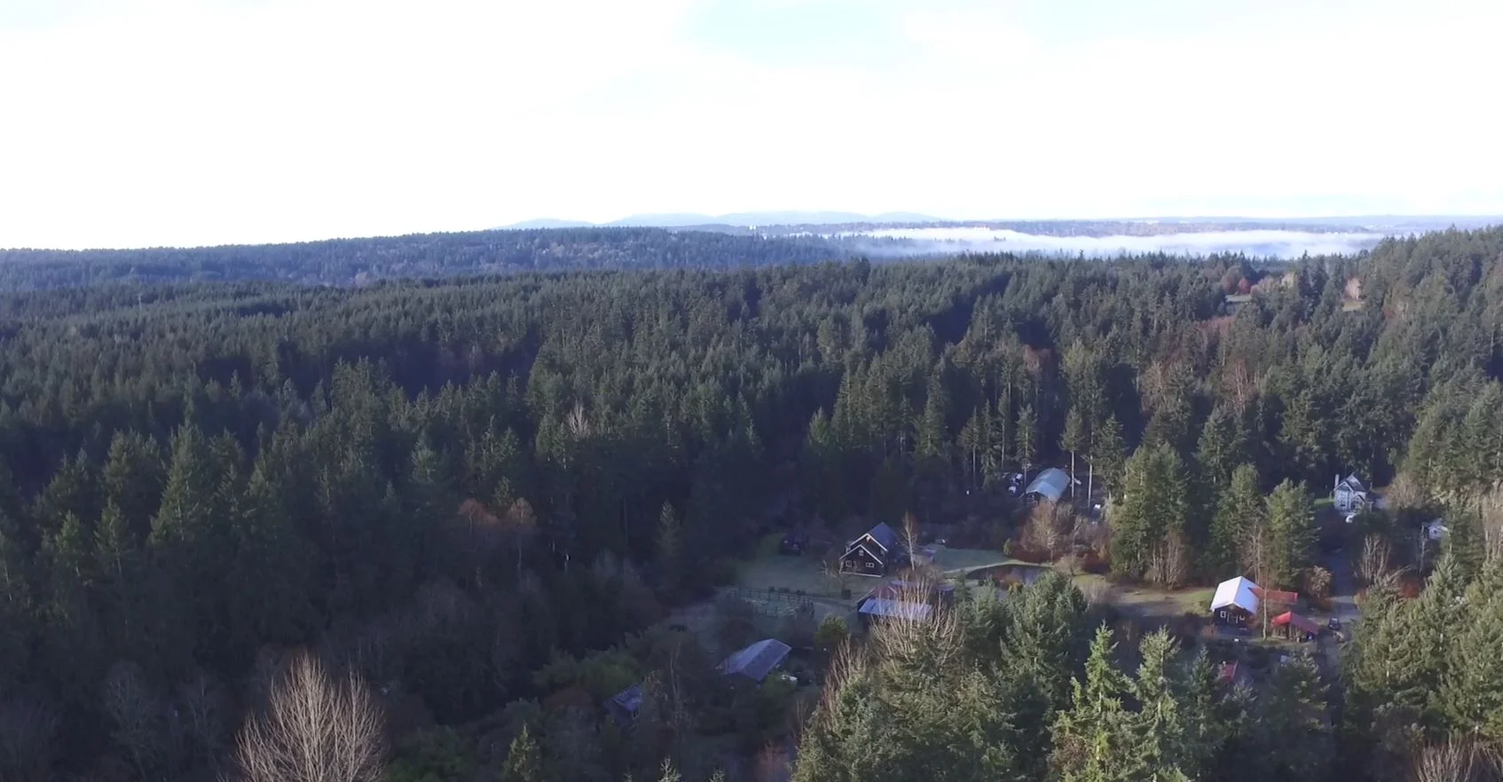 Visit Bucolic Island Center